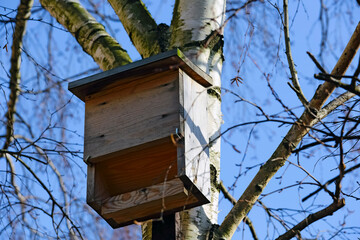 A wooden bat house is located on a tree trunk within the Goclaw housing estate in Warsaw, Poland