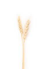 Fototapeta premium Two spikes of wheat isolated on white, top view