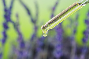 Dripping lavender essential oil from pipette against blurred background, closeup. Space for text