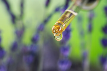 Dripping lavender essential oil from pipette against blurred background, closeup. Space for text