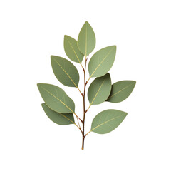 Dry Leaves Herbarium (PNG transparent background)