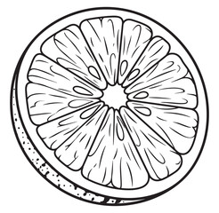 Obraz premium Simple line art illustration of a freshly sliced orange fruit on a white background