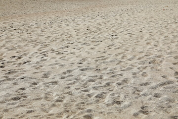 The natural background is a sandy beach in Mielno, which is located on the Baltic Sea in Poland