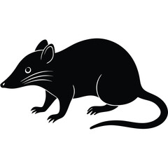 rat vector