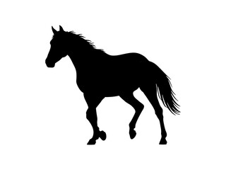 horse silhouette isolated on white