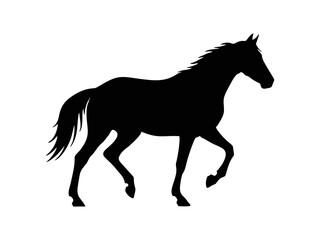 horse silhouette isolated on white