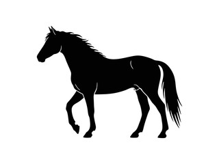 horse silhouette isolated on white