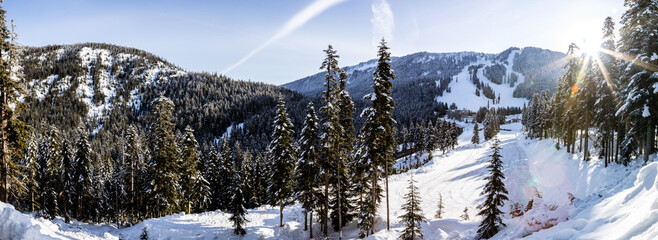 Serene Winter Scene with Snowy Mountains and Sunlit Trees