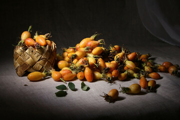 Still life with unripe rose hips