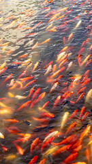 abstract water background