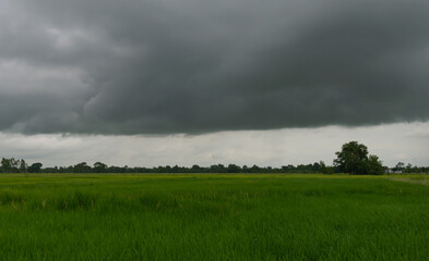 Rain clouds and black sky textured background. Danger storm cloud, Black cloud and thunder storm,...