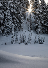 Snowy Mountain Sunset: Peaceful Winter Scene with Snow-Capped Trees and a Bright Sun Peeking Through the Clouds