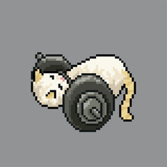 Cat lifting weights, pixel art meme