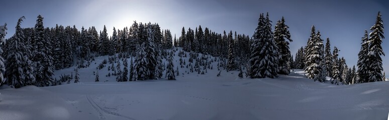 Snowy Mountainside at Dusk with Ski Tracks and Sunlight