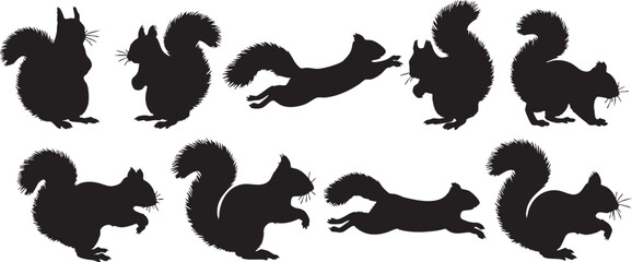 Fototapeta premium Squirrel silhouettes in various poses animal rodent, squirrel, animal, rodent, mammal, wildlife, nature, forest, tree, bushy tail, cute, small, pet, collection, set, group, illustration, graphic, desi