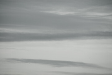 gray background, gray sky in the photo