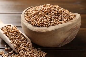 Wheat grains in bowl and scoop on wooden table, closeup