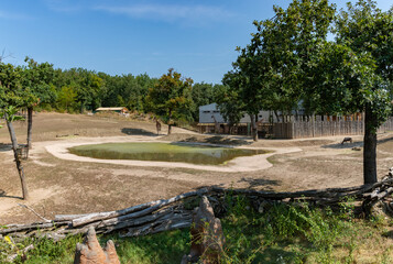 Brno Zoo Giraffe Enclosure