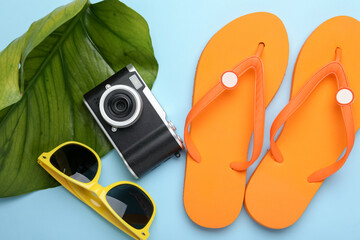Time for summer vacation. Camera, green leaf and beach accessories on light blue background, flat...