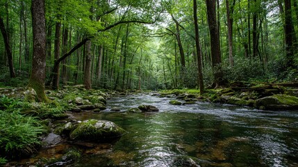 Obraz premium Forest Stream Calm Greenery