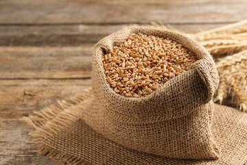 Wheat grains in burlap bag and spikes on wooden table, closeup. Space for text