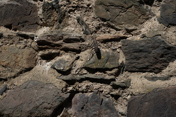 Textured stone wall with dark rocks and mortar in sunlight