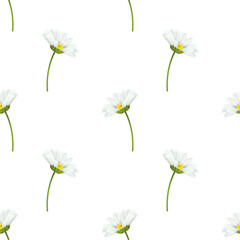 Flower vector pattern illustration floral background