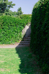 Lush green hedges frame a pathway leading to stone steps under sunlight