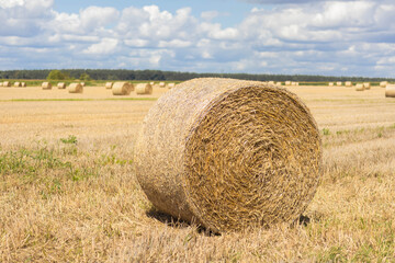 Round hay bale in a vast golden field under a cloudy sky