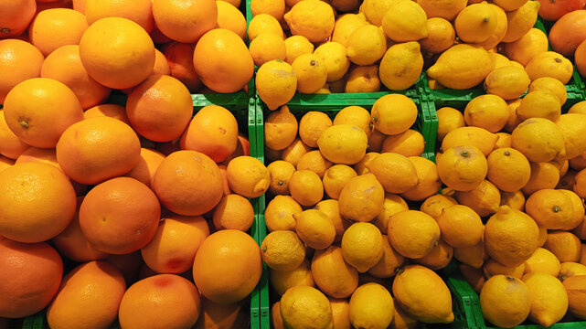 Close up photo fresh fruits arrange neatly grocery store grapefruit and lemons on rack selective focus blurry background horizontal hd resolution image poster banner background perfect for campaigns 