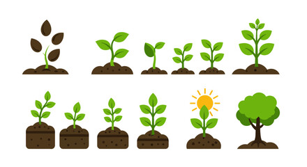 Flat vector icon set of plant growth stages seed, sprout, seedling, watering, sunlight, and tree in green and black colors 