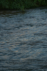 반사된 빛이 선명한 찰랑거리는 물결