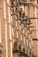 Gargouilles de Notre-Dame à Paris. France