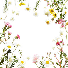 Fototapeta premium Floral frame of various daisies and wildflowers