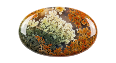 Isolated Moss Agate Stone