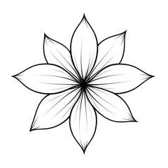 Symmetrical, detailed flower design in black and white