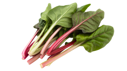 Fresh vibrant rainbow chard leaves ready for cooking in a healthy and balanced meal