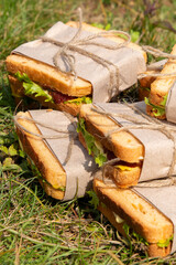 Delicious homemade sandwiches with greens and cheese wrapped in parchment, kraft paper on green...