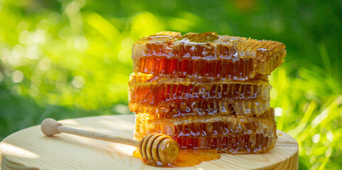 fresh honey on a background of garden and flowers. Selective focus