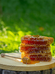 fresh honey on a background of garden and flowers. Selective focus