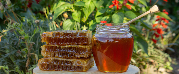 fresh honey on a background of garden and flowers. Selective focus