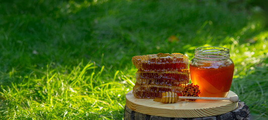 fresh honey on a background of garden and flowers. Selective focus