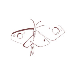 Dark and mystical moth with Halloween vibes insect line drawing for tattoo sticker stationery and poster Vector illustration