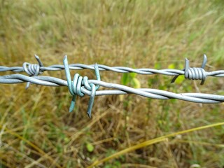 close up of barbed wire