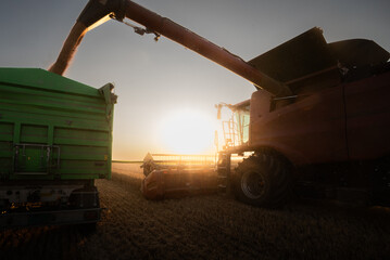Farm machinery working together in a golden wheat field.