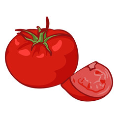 Tomato illustration food