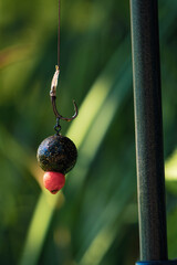 Fishing hook rig with boilie bait hanging in natural light