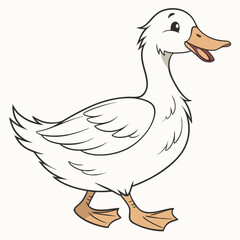 Vector illustration of a farm animal, a duck with white feathers and an orange beak, isolated on a white background