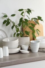 Different clean white dishware, wooden cutting boards and houseplant on counter in kitchen, closeup