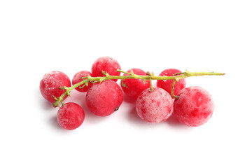 Red frozen currant berries isolated on white